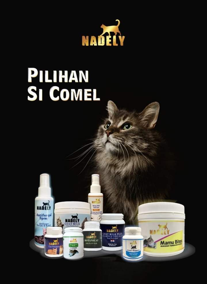 Nadely Cat World